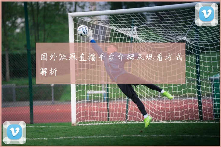 国外欧冠直播平台介绍及观看方式解析
