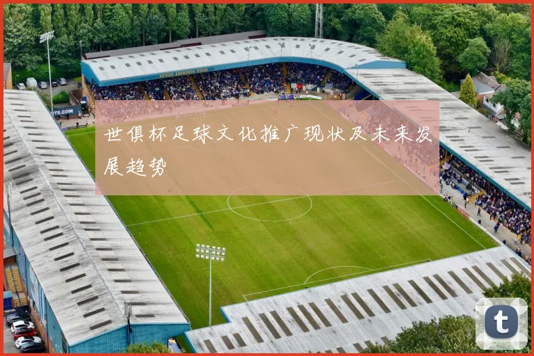 世俱杯足球文化推广现状及未来发展趋势