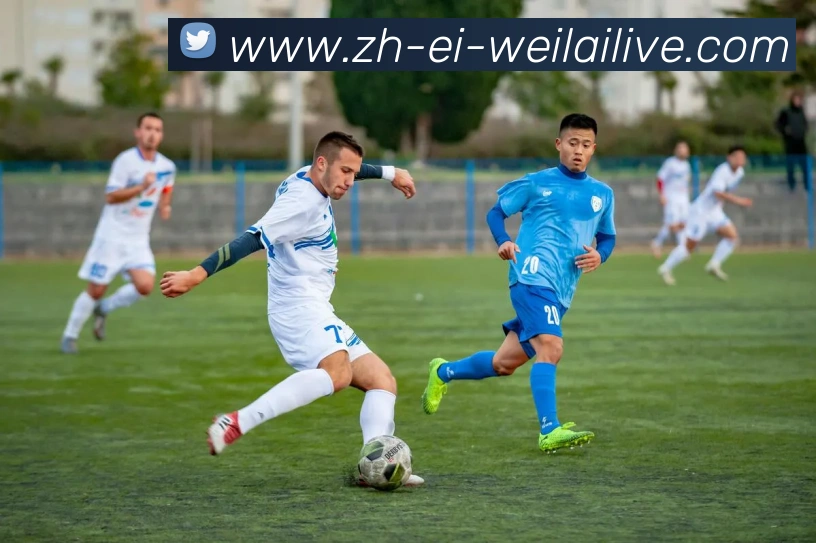 纬来体育平台生态图