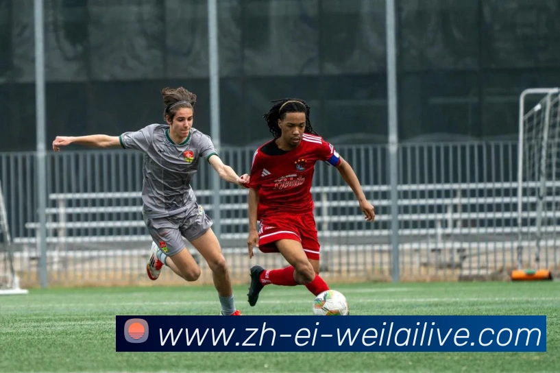 纬来体育APP 封面图